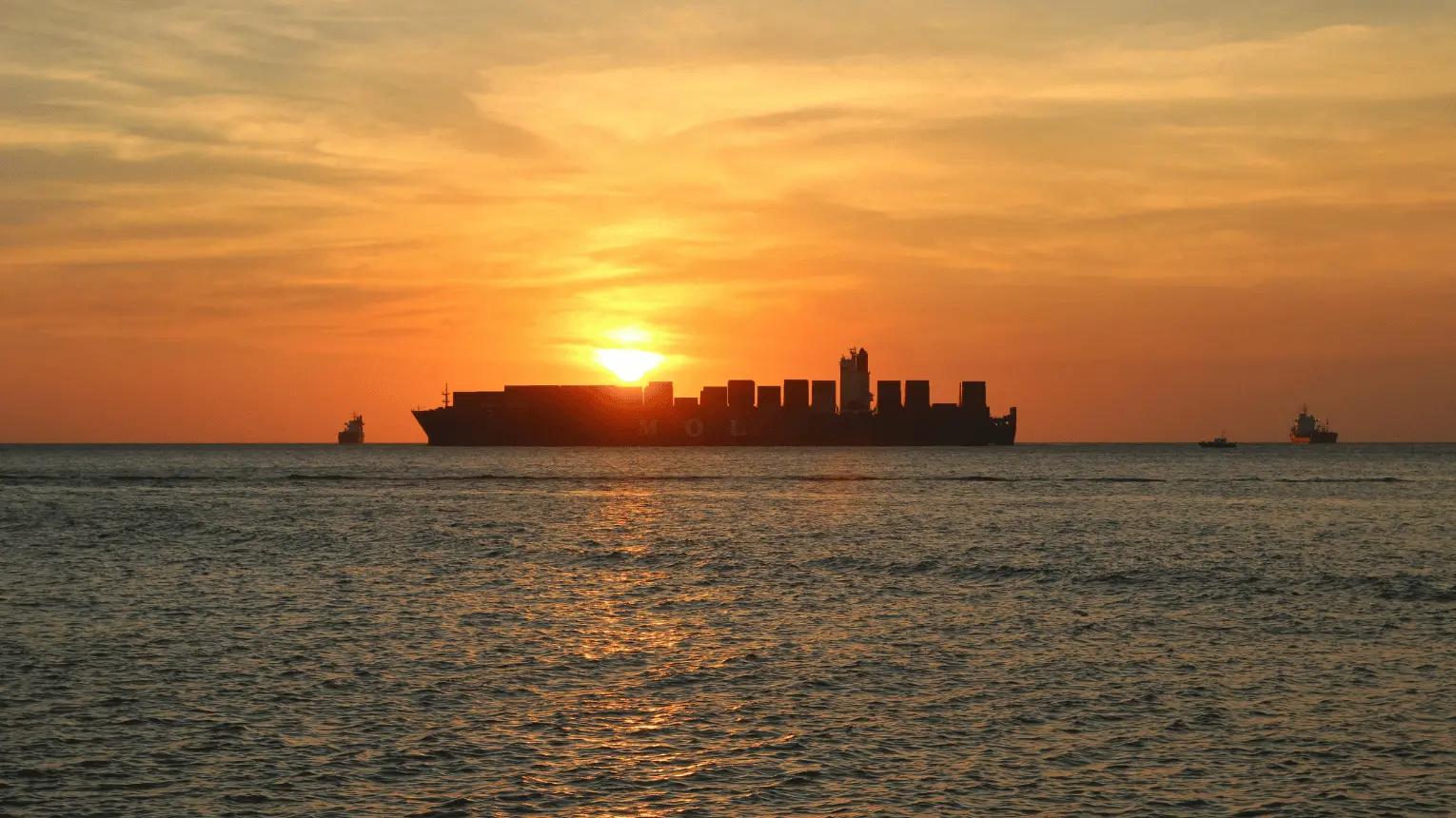 Asesoramiento Integral para Importación